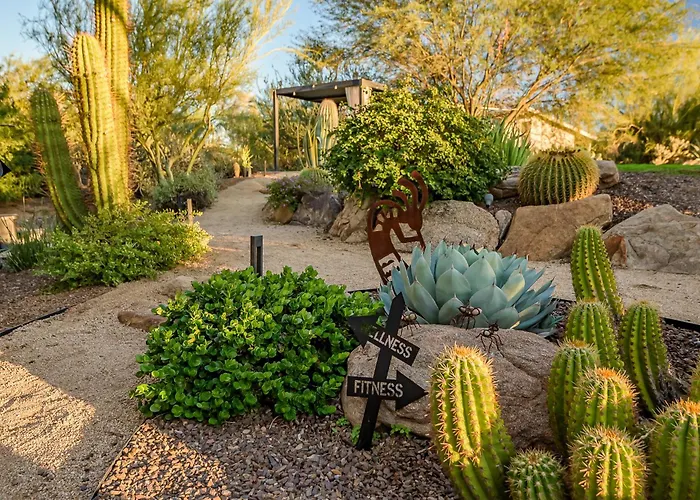 Villa 1-acre Backyard 4br Pickleball, Sauna, Saltroom, Gym, Wellness