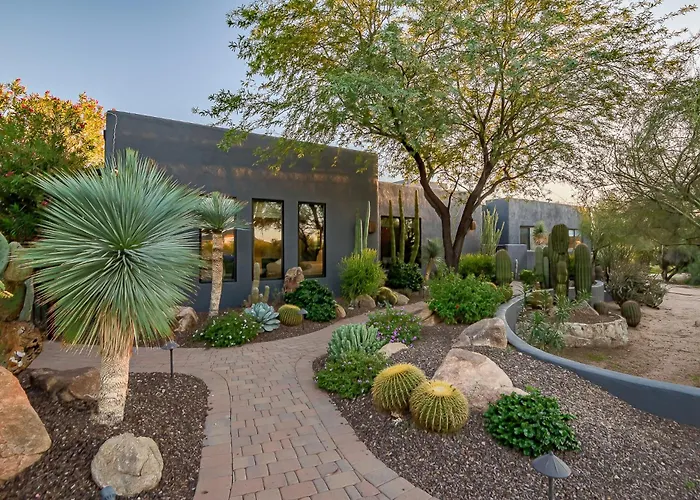 1-acre Backyard 4br Pickleball, Sauna, Saltroom, Gym, Wellness Cave Creek